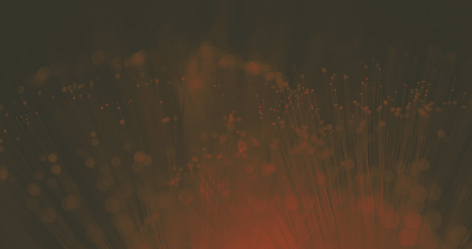 Optical fiber stand